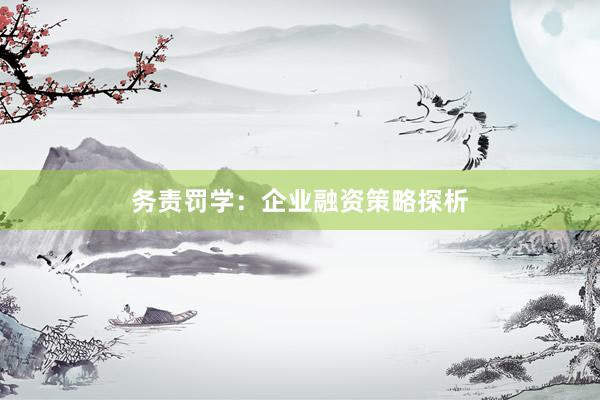 务责罚学：企业融资策略探析
