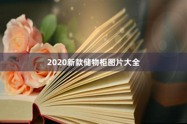 2020新款储物柜图片大全