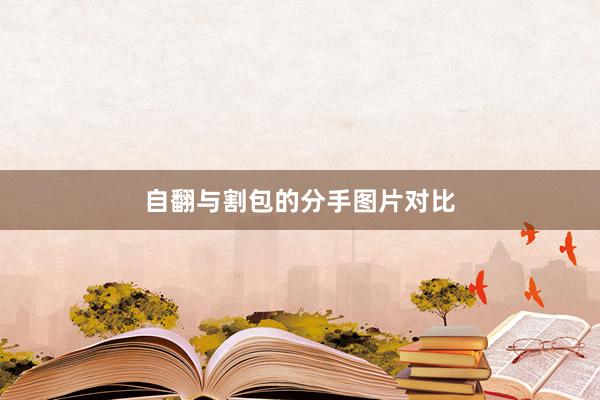 自翻与割包的分手图片对比